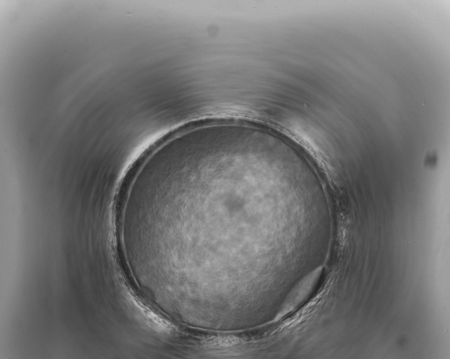 X0000095511120200712211234