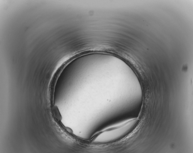 X0000095511122200712211234