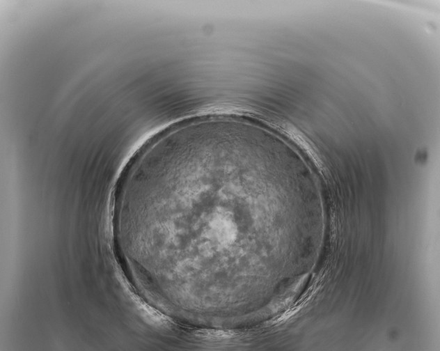 X0000095511124200712211234