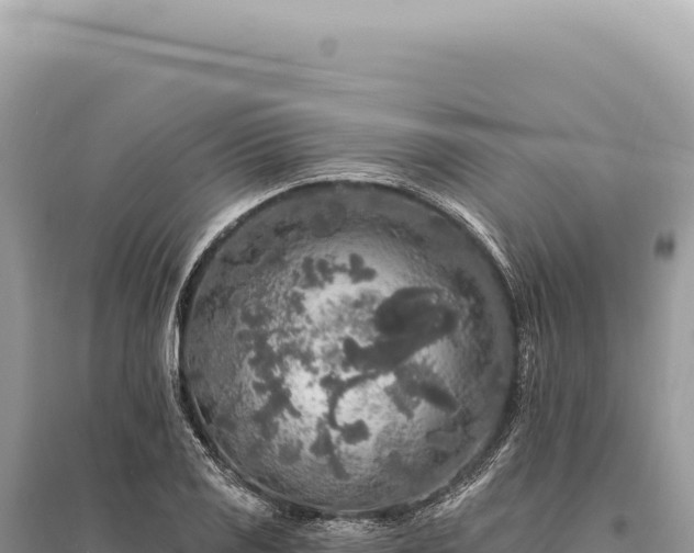 X0000095511125200712211234