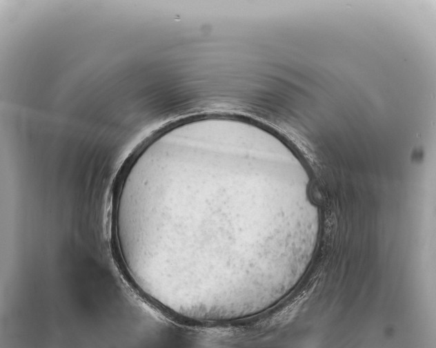 X0000095511126200712211234