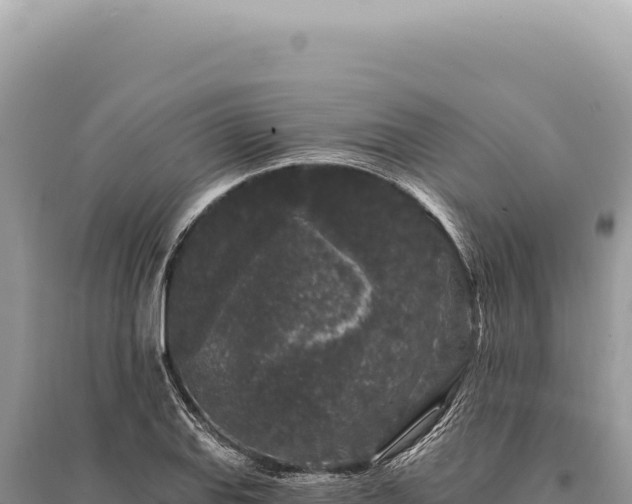 X0000095511127200712211234