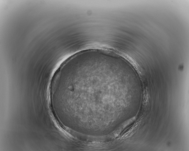 X0000095511128200712211234