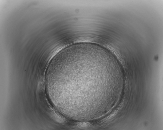 X0000095511129200712211234