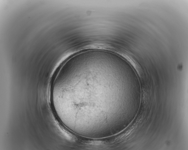 X0000095511131200712211234