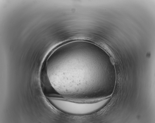 X0000095511132200712211234