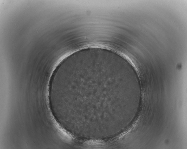 X0000095511133200712211234