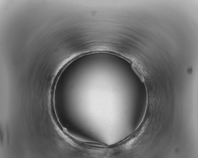 X0000095511134200712211234