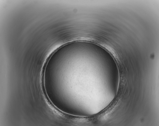 X0000095511135200712211234