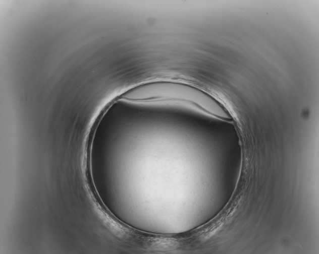 X0000095511136200712211234