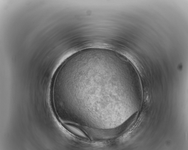 X0000095511139200712211234