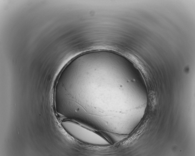 X0000095511140200712211234