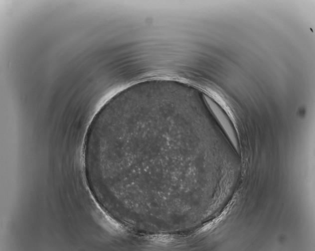 X0000095511141200712211234