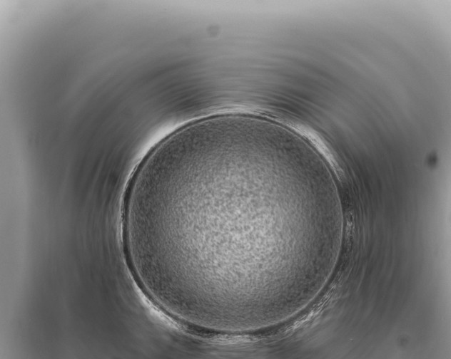 X0000095511143200712211234