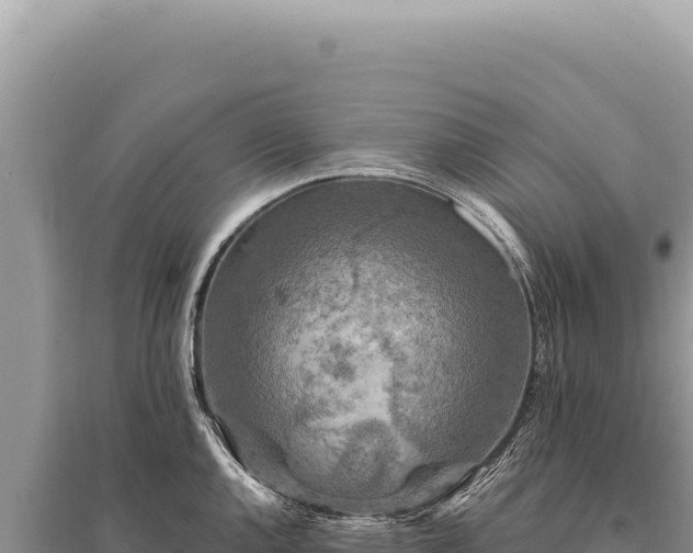 X0000095511144200712211234