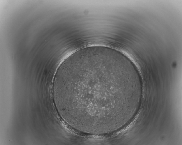 X0000095511145200712211234