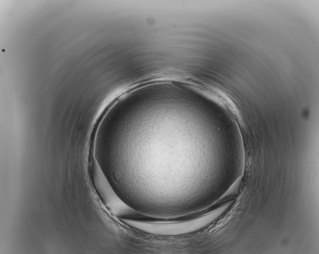 X0000095511146200712211234