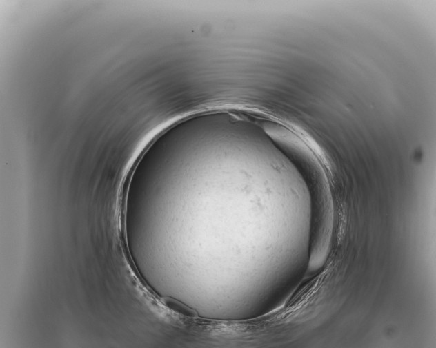 X0000095511148200712211234