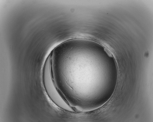 X0000095511152200712211234