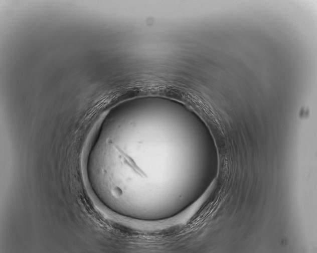 X0000095511153200712211234