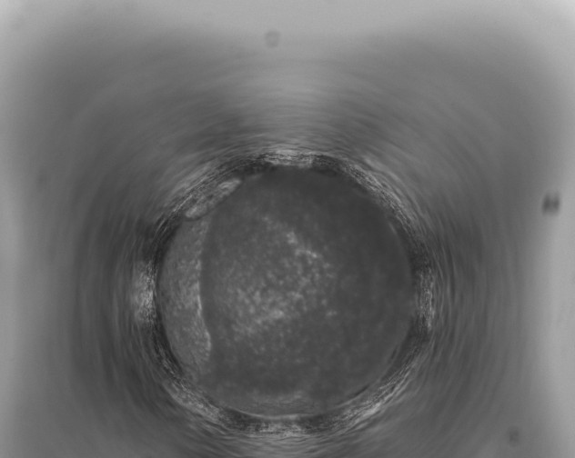 X0000095511154200712211234