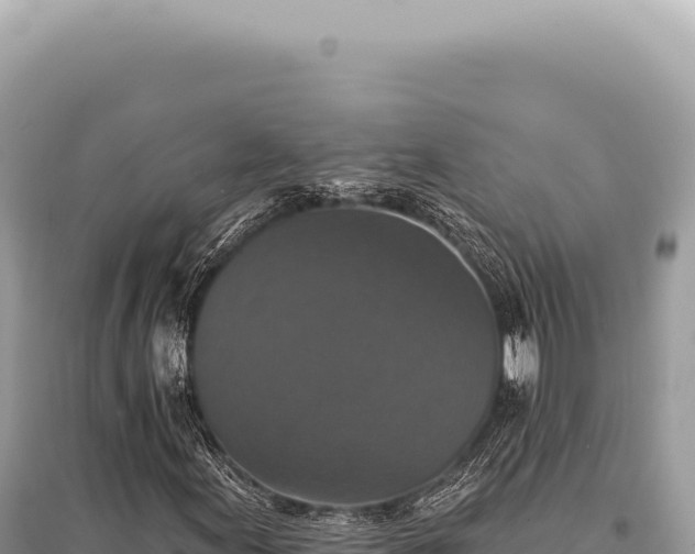 X0000095511155200712211233