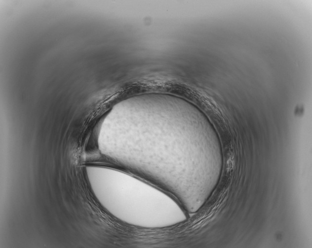 X0000095511156200712211233