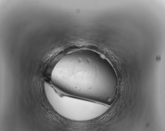 X0000095511157200712211233