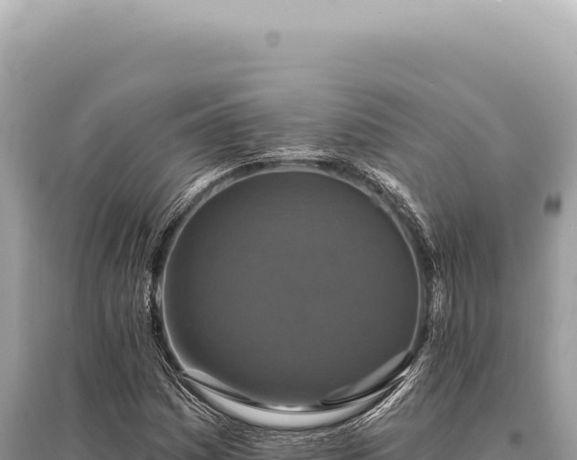 X0000095511161200712211233