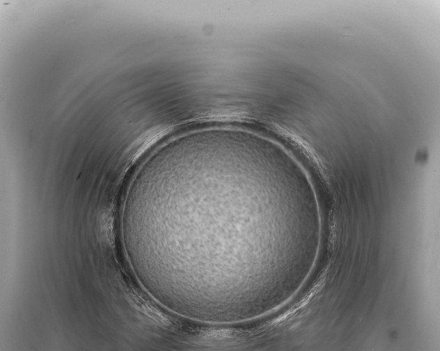 X0000095511162200712211233