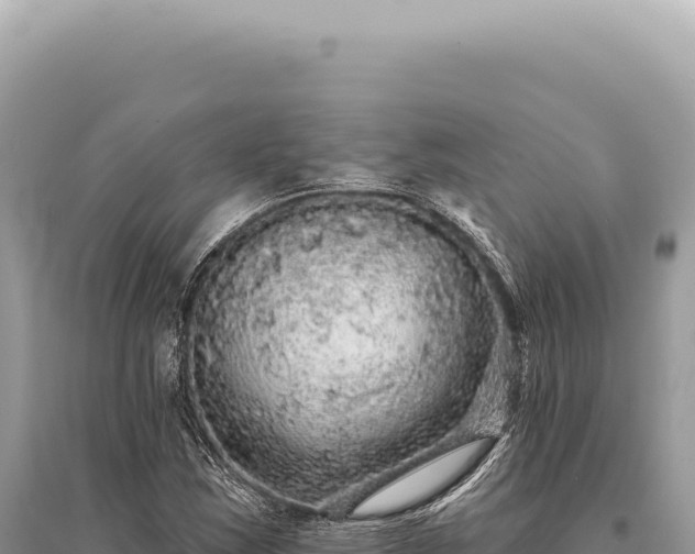 X0000095511163200712211233