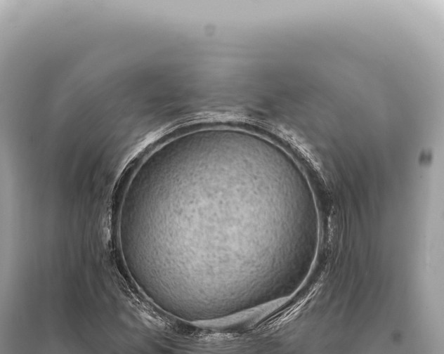 X0000095511165200712211233