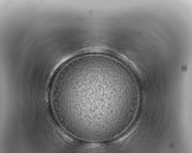 X0000095511166200712211233