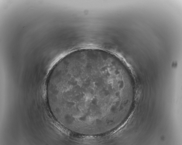 X0000095511167200712211233