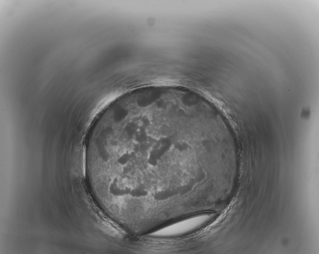 X0000095511171200712211233