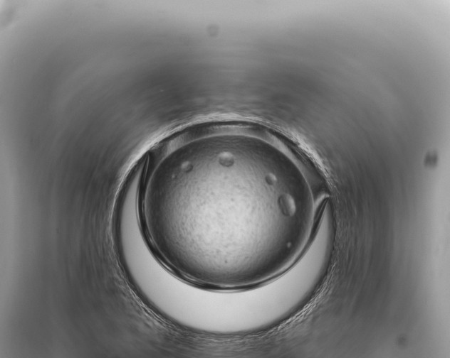 X0000095511173200712211233