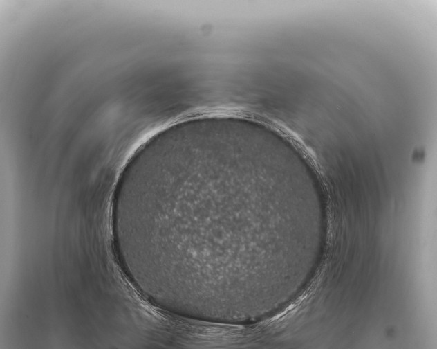 X0000095511174200712211233