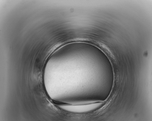 X0000095511177200712211233