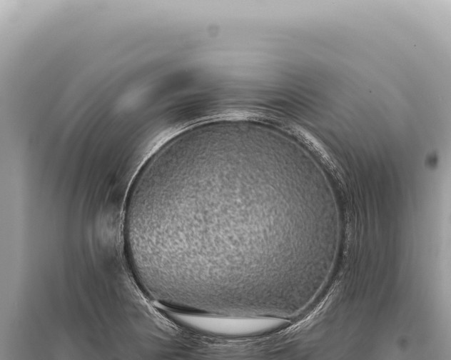 X0000095511178200712211233