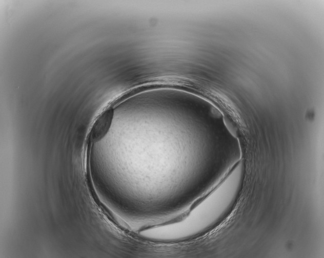 X0000095511180200712211233