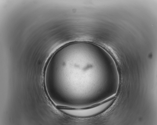 X0000095511184200712211233