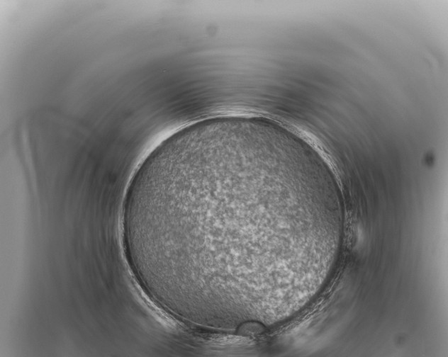 X0000095511187200712211233