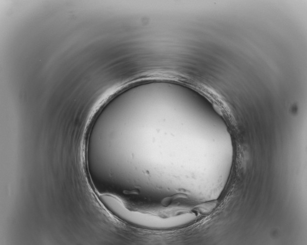 X0000095511188200712211233