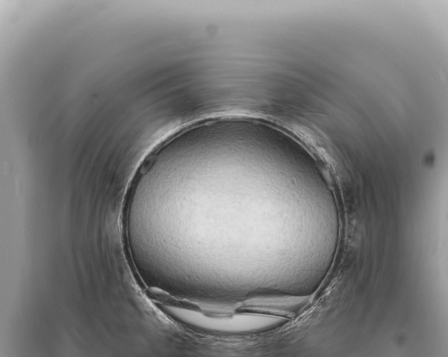 X0000095511189200712211233