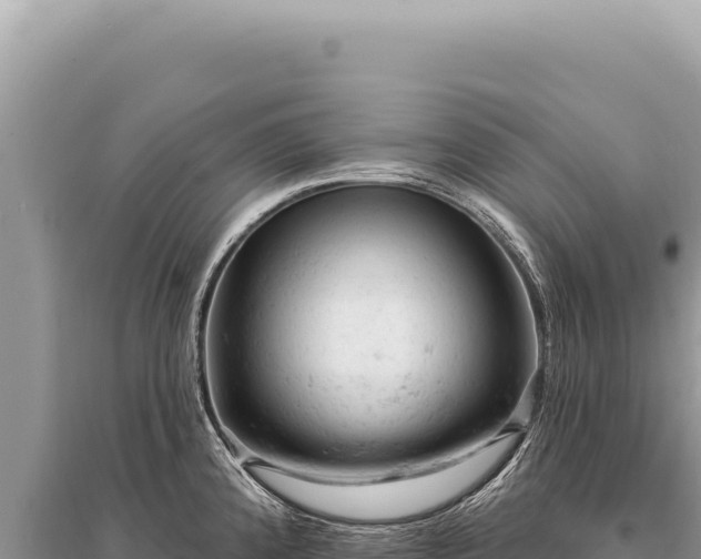 X0000095511192200712211233