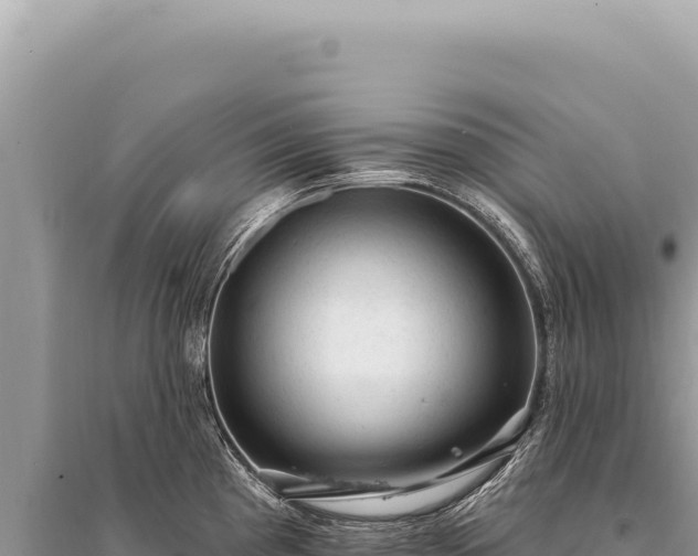 X0000095511193200712211233