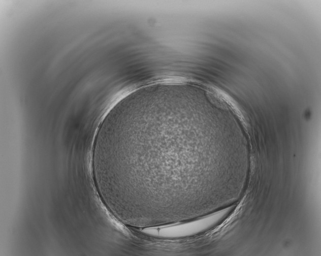 X0000095511194200712211233