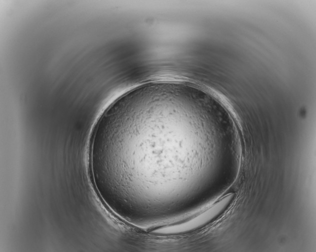 X0000095511195200712211233