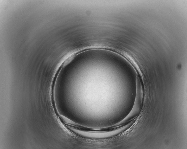 X0000095511197200712211233