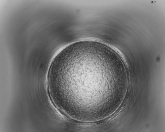 X0000095511199200712211233